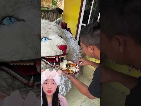 Belum kenyang makan⁉️maulapro