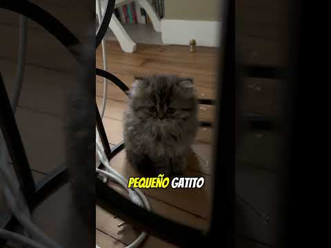 ¡Este Tobogán Acuático Esconde un Secreto Aterrador! 😱