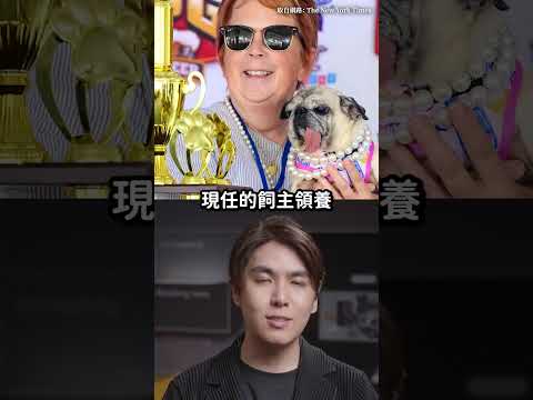 2026世界最醜狗冠軍出爐！曾經差點要被煮來吃？😲｜志祺七七 Shorts #shasha
