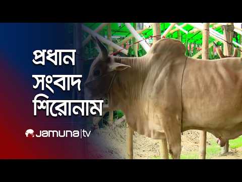 সন্ধ্যার প্রধান সংবাদ শিরোনাম | Latest News Headlines | 7 PM | 25 May 2026 | Jamuna TV
