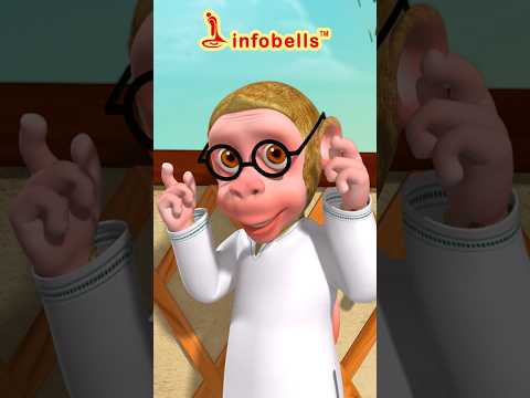 बन्दर मां ने खोला एक स्कूल - Bandarmama | Hindi Rhymes & Cartoons | Infobells #bandarmama #bandar