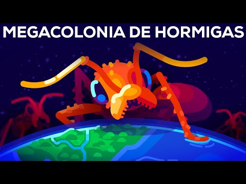 La megacolonia de miles de millones de hormigas y la mayor guerra de la Tierra