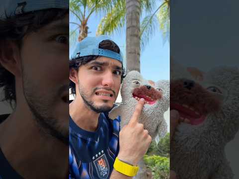QUE HAY DENTRO DE UN GUBI WUBI?😱