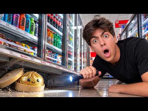 Comprando Squishys Abandonados! *encontrei Raro*