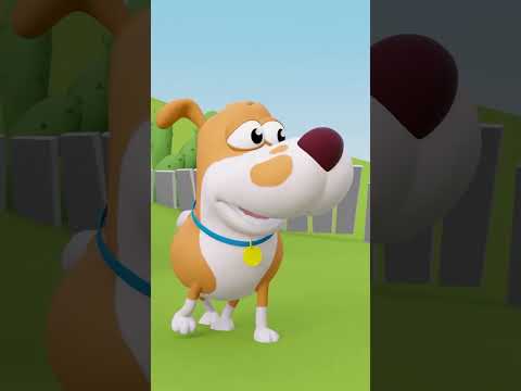 Beş Küçük Köpek 🐶🐾