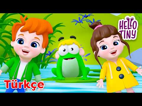 Küçük Kurbağa Kulağın Nerede? 🐸 | Bebekler için şarkılar | Hello Tiny Türkçe