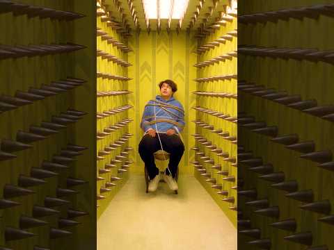 I Lost My Twin In The Backrooms