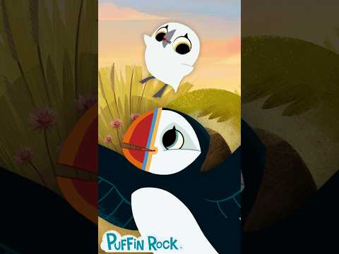 Baba & Papa Fun 🥳 | Puffin Rock