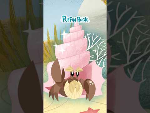 Bernie's New Shell | Puffin Rock 🌸🐚