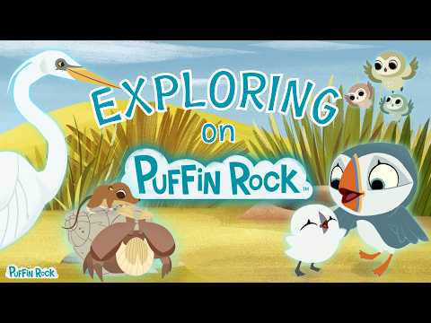 Exploring On Puffin Rock 🌎 | Compilation