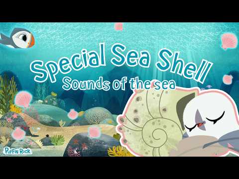 Seashell Sounds Of The Sea | Puffin Rock 🐚