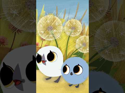 ✨ NEW SEASON 3! 🌱 Baba & Lala plant a seed! | Puffin Rock