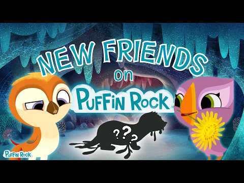 New Friends on Puffin Rock?! 🫶 | Puffin Rock & The New Friends