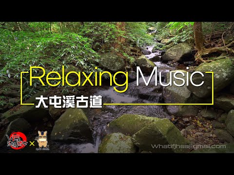 '22.01.12【江湖秘境】來自大屯溪古道的清澈溪流聲 03！ #白噪音 #relax #大屯溪古道