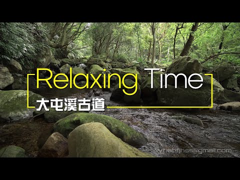 '22.01.05【江湖秘境】來自大屯溪古道的清澈溪流聲 02！ #白噪音 #relax #大屯溪古道