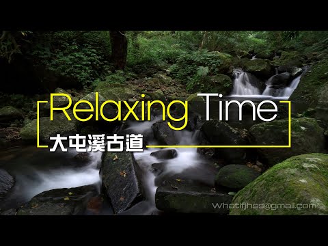 '21.12.29【江湖秘境】來自大屯溪古道的清澈溪流聲！ #白噪音 #relax #大屯溪古道