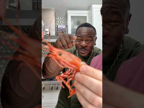 New Pet!! #animals #pet #seafood #delicious #chefrush