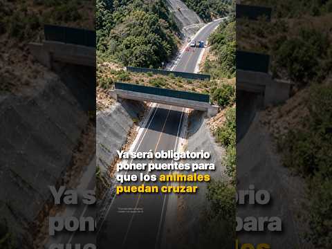 Ya será obligatorio poner puentes para que los animales puedan cruzar