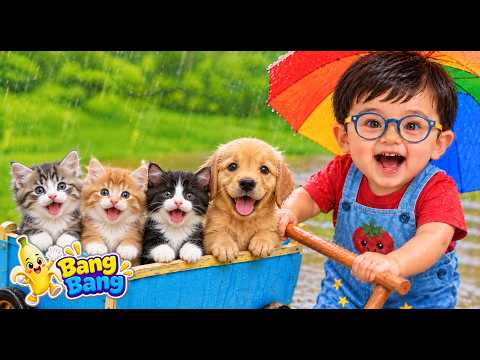 Rain Rain Go Away Compilation | Weather Songs & More Classic Rhymes | Bang Bang Monkey