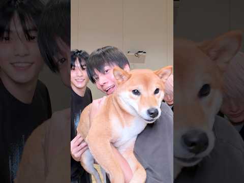진정들하시개 🐕 #TXT #SOOBIN #TAEHYUN #HUENINGKAI