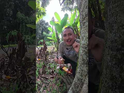 Ternyata seru juga ya
