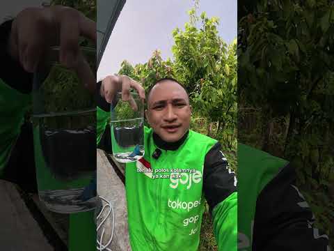 Ikan yang tak terkalahkan