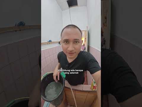 Maafkan aku ikan ikan ku