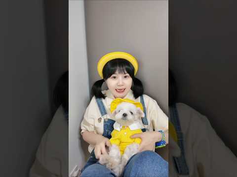 우리 강아지 훈련시켰어🐶😍What do you think of my dog? #funny #TeamYELLOWHAT