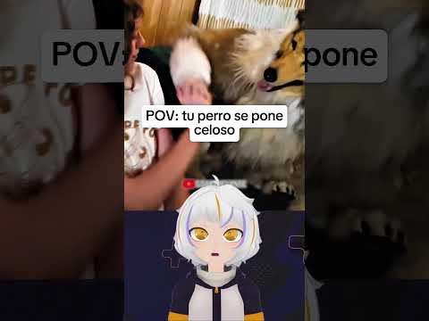 Y el Perro