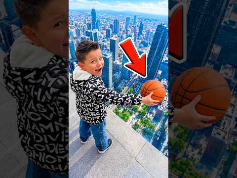 ¿Qué pelota rebota más alto?