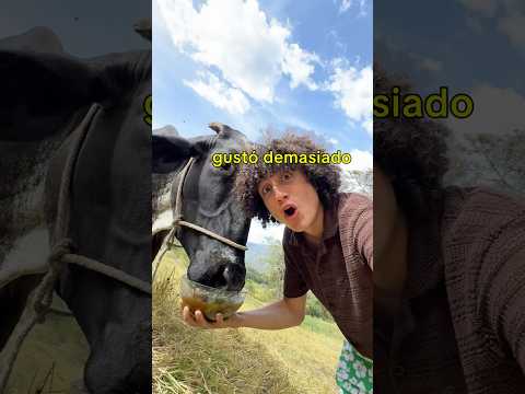 El efecto raspao es otro nivel: mis animales lo disfrutaron y mi cara también gracias