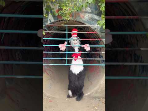 He lives in this Tunnel…