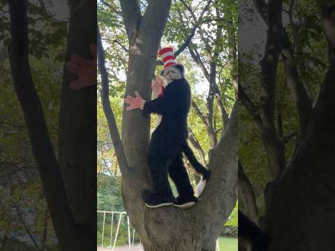 Do I run? Cat in the Hat is watching…