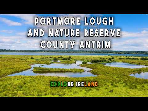 Portmore Lough Nature Reserve [Antrim, Ireland]