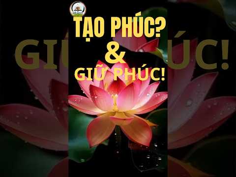 Người luôn có phúc báu như thế nào? Hãy tạo phúc - Giữ phúc bền lâu | ĐỖ HINH - SỐNG ĐỂ HỌC