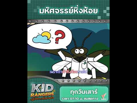 หิ่งห้อยมักจะอาศัยอยู่ที่ไหนและทำไมหิ่งห้อยถึงได้พบเจอได้ยาก | #kidrangers #ThaiPBSKids #shorts