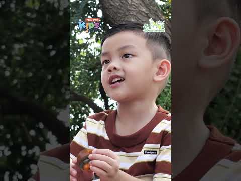 ไข่เป็ดแปลงร่างเป็นไข่เยี่ยวม้าได้อย่างไร ? | #บ้านนักวิทยาศาสตร์น้อย #ThaiPBSKids #shorts
