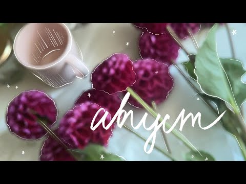 Влог | Месяц на исходе лета: город, работа, жизнь