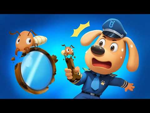🔴【Live】ระวังปลวกด้วยนะ | การ์ตูนเด็กยอดฮิต | เบบี้บัส | ลาบราดอร์ | Kids Cartoons | BabyBus #live
