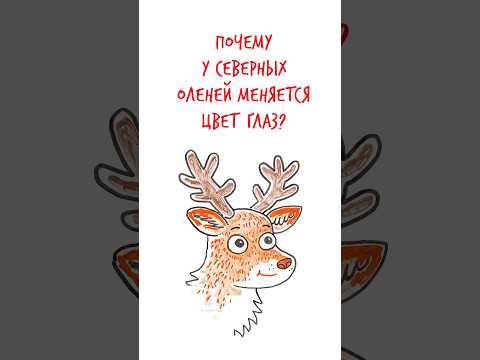 цвет ГЛАЗ у северных оленей