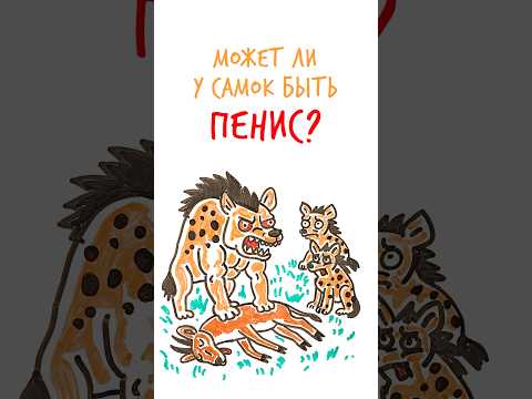 Может ли у САМОК быть 🍌? #шортс