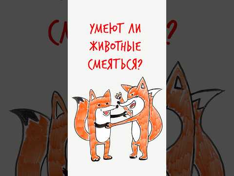 УМЕЮТ ли животные СМЕЯТЬСЯ? — Научпок #шортс