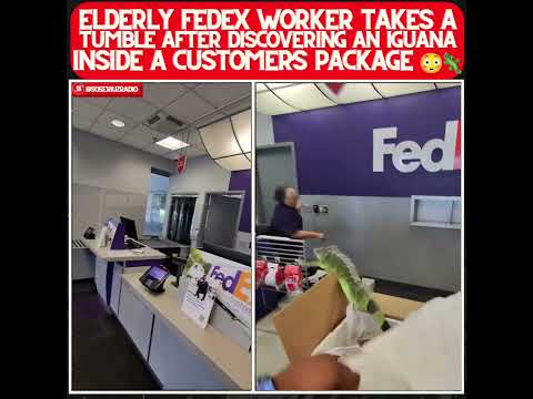 Iguana Found in Customer Package Causes HAVOC 😱 #fedex