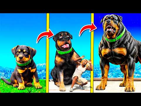 CHOP se CONVIERTE en el PERRO Más GRANDE de GTA 5