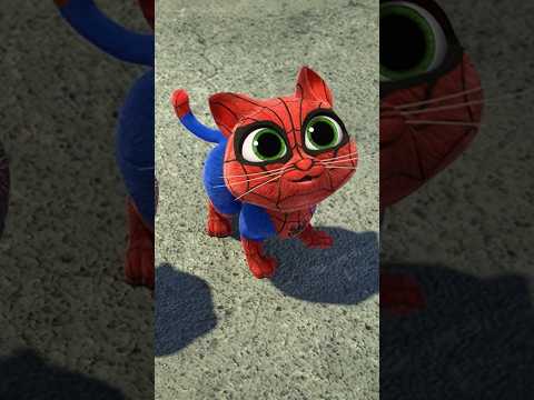 Los Gatitos Spidey y Spin encuentran a Black Cat en la azotea 🕷️🐈