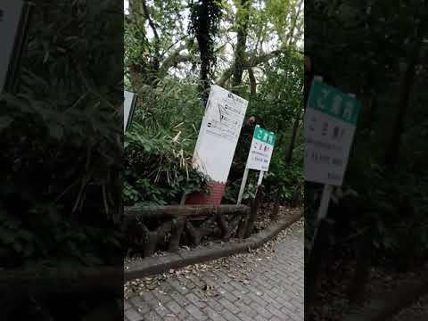 Shiroyama observatory at kagoshima city
