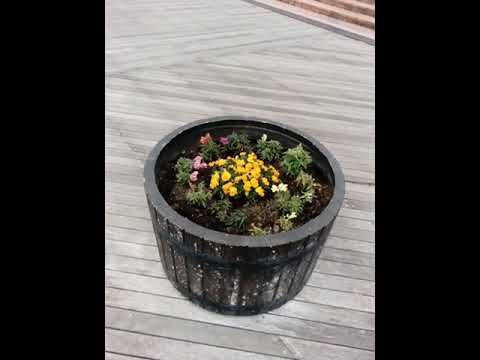 Kagoshima city minato area#6