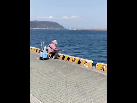 Kagoshima city minato area#4