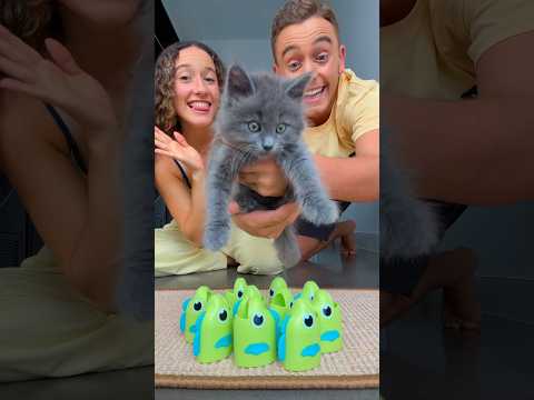 Let’s choose our cats name! 🐈‍⬛😱 #cat #kitten #pet #funnycats