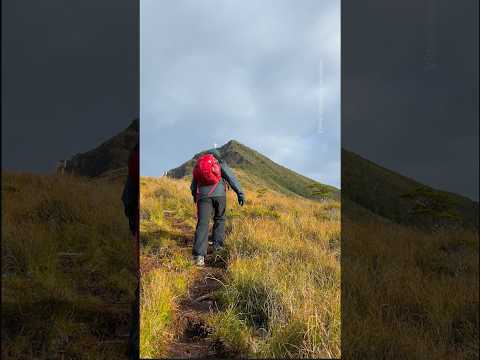 Follow in Charles Darwin's footsteps in Cape Froward, Chile. #BestOfTheWorld2027